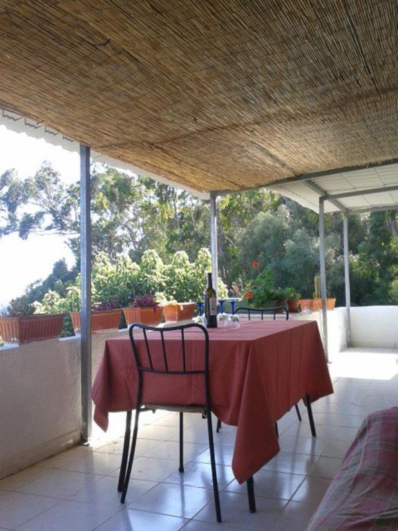 Casa Do Avo Teixeira Villa Sesimbra Dış mekan fotoğraf