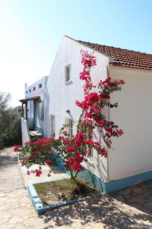 Casa Do Avo Teixeira Villa Sesimbra Dış mekan fotoğraf