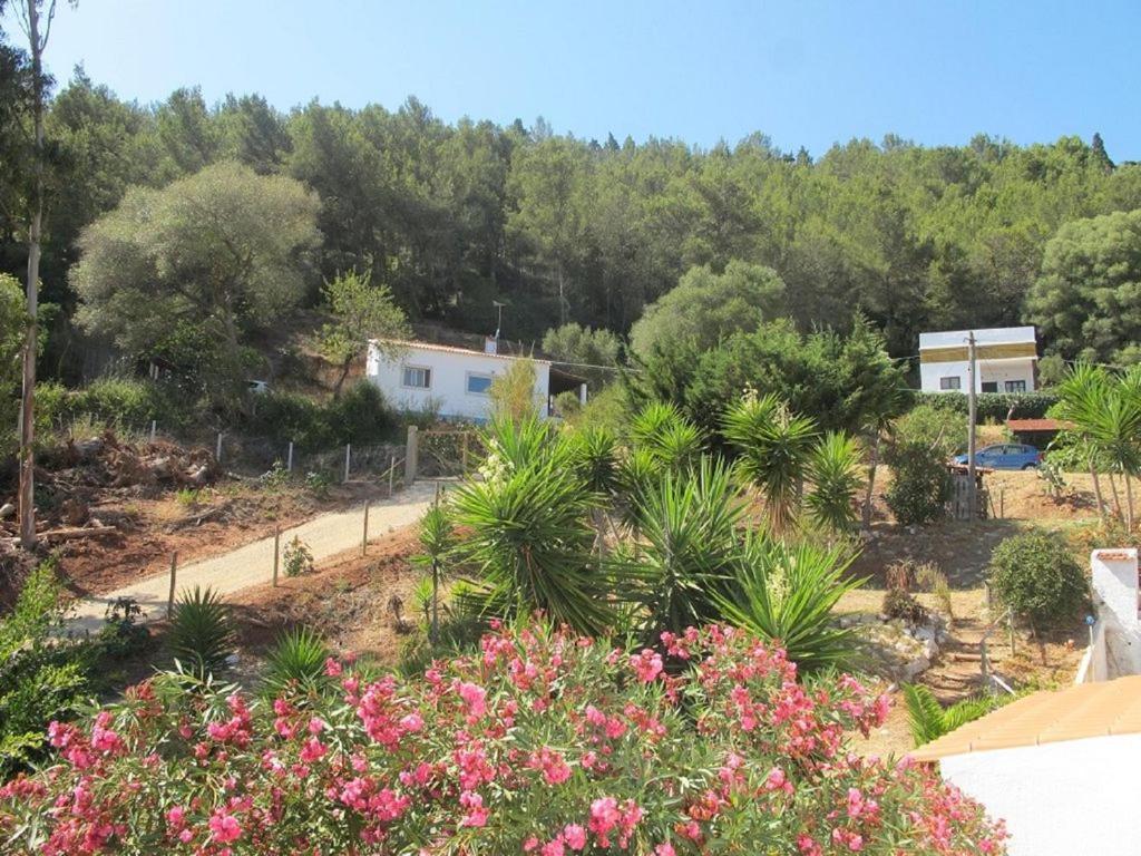 Casa Do Avo Teixeira Villa Sesimbra Dış mekan fotoğraf