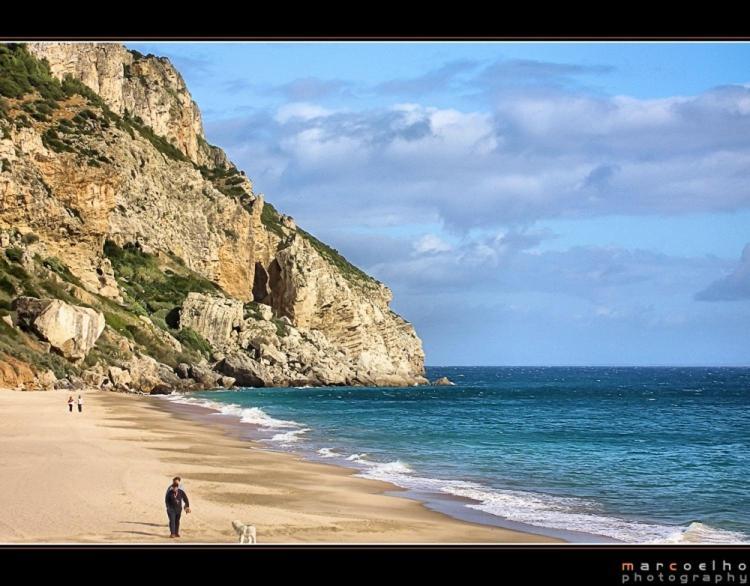 Casa Do Avo Teixeira Villa Sesimbra Dış mekan fotoğraf